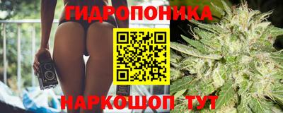 крисы Краснокаменск