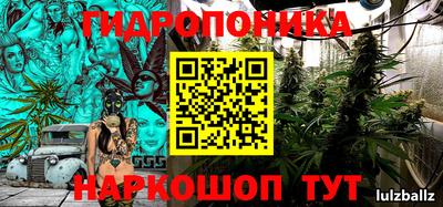 крисы Краснокаменск