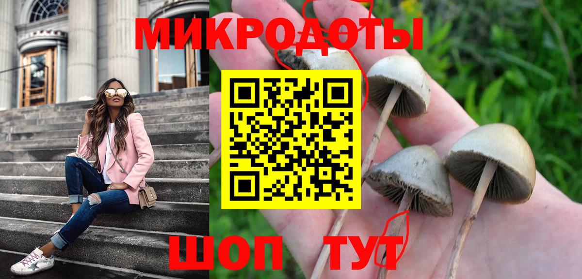 Карачаевск  Псилоцибиновые грибы ЛСД  Вход с VPN  Псилоцибиновые грибы мухоморы 