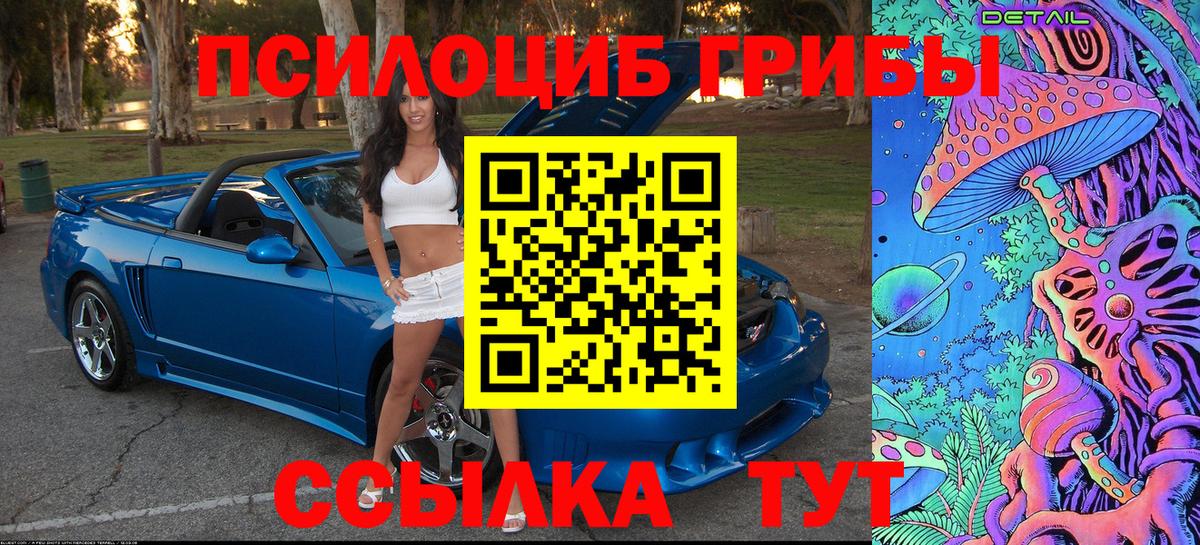 Псилоцибиновые грибы GOLDEN TEACHER Карачаевск